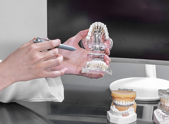 Orthodontist demonstrating aesthetics, comfort, and stability with a dental model. • KOREA NEW N DENTAL CLINIC