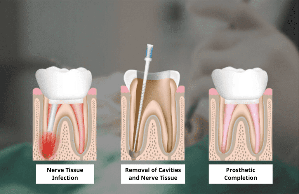  • KOREA NEW N DENTAL CLINIC