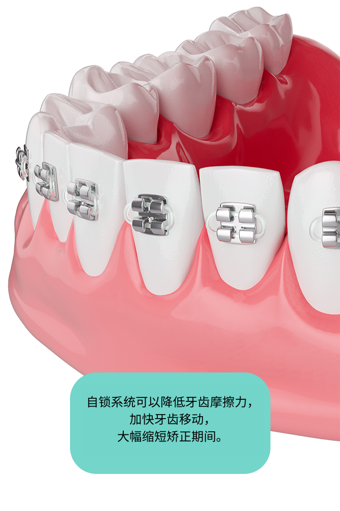  • KOREA NEW N DENTAL CLINIC