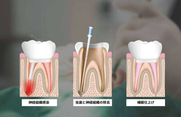  • KOREA NEW N DENTAL CLINIC