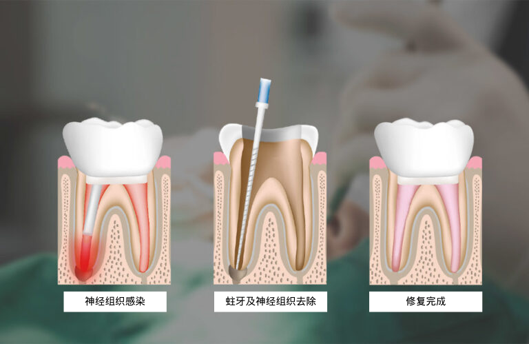  • KOREA NEW N DENTAL CLINIC